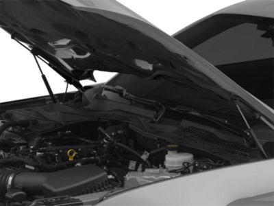 MMD Bolt On Hood Strut Kit; Black (15-23 Mustang GT, EcoBoost, V6)