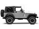 Carr Hoop II Steps; Black; Pair (97-06 Jeep Wrangler TJ)