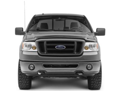 2006 f150 bug deflector