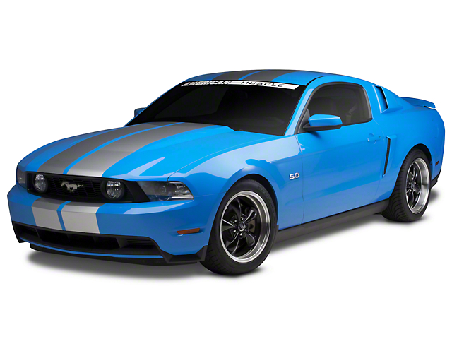 SEC10 GT500 Style Stripes; Silver; 10-Inch (79-22 Mustang)