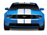 SEC10 GT500 Style Stripes; White; 10-Inch (79-23 Mustang)
