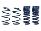 Ford Performance Street Lowering X-Springs (15-26 Mustang GT Fastback w/o MagneRide, EcoBoost Fastback w/o MagneRide)