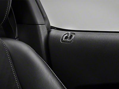 2010 2014 Mustang Interior Trim Carbon Fiber Americanmuscle