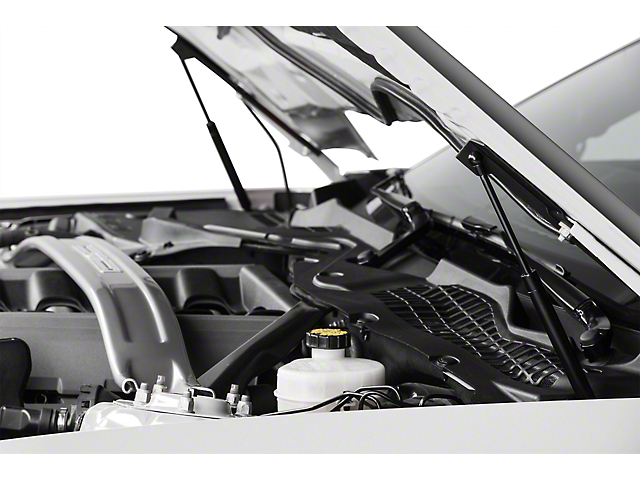 MMD Bolt On Hood Strut Kit; Black (15-17 Mustang GT, EcoBoost, V6)