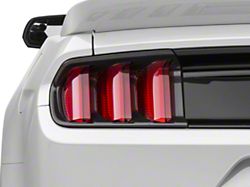 MMD Tail Light Bezels; Carbon Fiber (15-17 Mustang, Excluding 50th Anniversary)