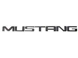 Bumper Insert Letters; Domed Carbon Fiber (99-04 Mustang GT, V6)