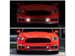 Vertical Style Lower Grille with LED DRL Stripes (15-17 GT, EcoBoost, V6)