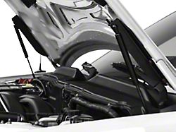 2005-2009 Mustang Hood Struts AmericanMuscle