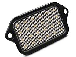 Raxiom Axial Series LED License Plate Lamps (05-09 Mustang)