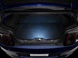 Axial LED Trunk Courtesy Lamp (05-14 Mustang)