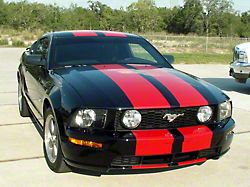 Racing Stripes; Gold (05-09 GT)