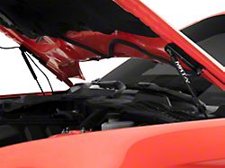 MRT Hood Struts; Black (15-22 Mustang GT, EcoBoost, V6)