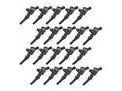 20-Piece Ignition Coil Set (99-04 Mustang GT)