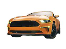 Front Lens Paint Protection Kit (18-22 Mustang GT, EcoBoost)