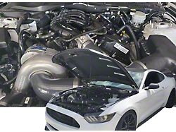 Auto Mafia Racing 500+ HP ProCharger Supercharger Kit (15-17 Mustang V6)