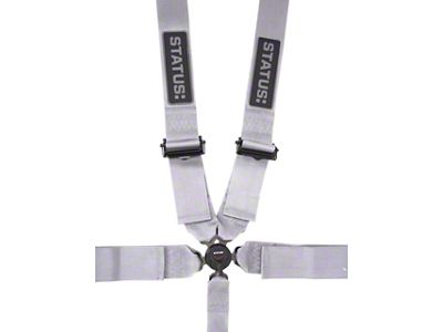 Status: 5-Point Camlock Harness; Silver (Universal; Some Adaptation May Be Required)