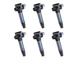 ACEON Ignition Coils; Black; Set of Six (16-17 3.5L V6 F-150)