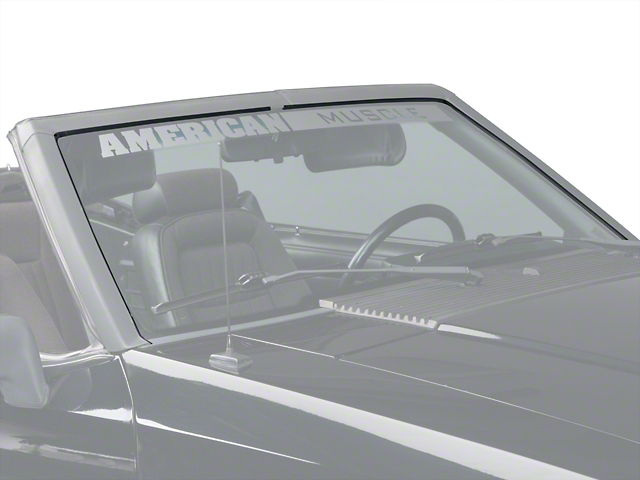 OPR Windshield Seal Weatherstripping Kit (89-93 Mustang Convertible)