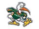 University of Miami Embossed Emblem; Green and Orange (Universal; Some Adaptation May Be Required)