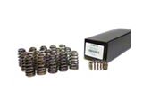 Brian Tooley Racing Drop-In Valve Springs; 0.625-Inch Lift (09-24 5.7L RAM 1500)