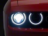 Morimoto XRGB LED Headlights; Black Housing; Clear Lens (15-23 Challenger)