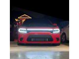 Sick Diesel LED Grille Lights; Smoked Lens; Black Frame (15-23 Charger GT, Scat Pack, SRT)