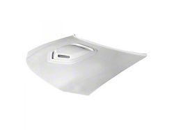 Type-Shaker Style Ram Air Hood; Unpainted (06-10 Charger)