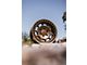 Fifteen52 Traverse HD Bronze Mono 6-Lug Wheel; 17x8.5; 0mm Offset (05-15 Tacoma)
