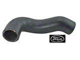 FoMoCo Script,Upr Rad Hose (19 Radiator)