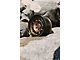 Fifteen52 Traverse HD Block Bronze 6-Lug Wheel; 17x8.5; 0mm Offset (05-15 Tacoma)