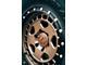 Fifteen52 Turbomac HD Block Bronze 6-Lug Wheel; 20x9; 18mm Offset (22-24 Bronco Raptor)