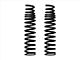 ICON Vehicle Dynamics Heavy Rate Rear Coil Springs for Icon 2.5 Coil-Overs Only (21-24 Bronco)