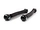 BDS Tubular Rear Upper Control Arms for 2 to 6.50-Inch Lift; Flex Ends (21-24 Bronco, Excluding Raptor)