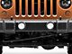 LED Fog Light Conversion Bulb Kit; H16 (10-18 Jeep Wrangler JK)