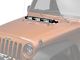 Delta Lights Tubular LED E-Hood Bar (07-18 Jeep Wrangler JK)