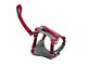 Journey Dog Harness - Chili Red/Charcoal