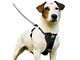 TruFit Smart Dog Walking Harness - Black