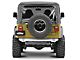 Poison Spyder BFH II Rear Bumper; Bare Steel (97-06 Jeep Wrangler TJ)