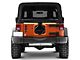 Teraflex Alpha HD Adjustable Spare Tire Mounting Kit for 5x5.5 Wheels (07-18 Jeep Wrangler JK)