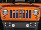 Under The Sun Inserts Grille Insert; Wisconsin State Flag (07-18 Jeep Wrangler JK)