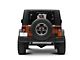 Alpine Spare Tire Rear View Camera and Light System (07-18 Jeep Wrangler JK)