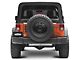Heavy Duty Spare Tire Carrier (07-18 Jeep Wrangler JK)