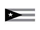 Grille Insert; Puerto Tactical Rico Flag (07-18 Jeep Wrangler JK)