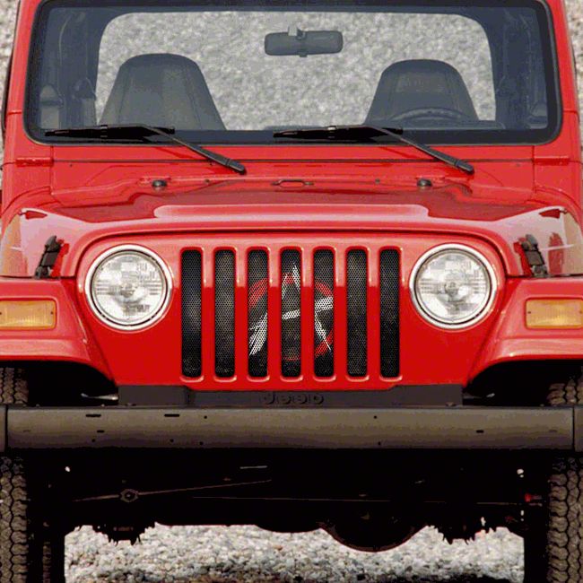 Grille Insert; Anarchy In The Streets (97-06 Jeep Wrangler TJ)