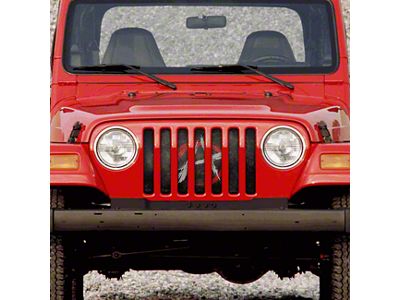 Grille Insert; Anarchy In The Streets (97-06 Jeep Wrangler TJ)