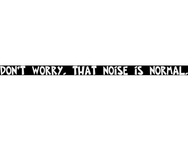 SEC10 Don't Worry That Noise is Normal Window Decal