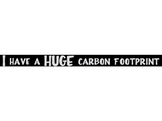 SEC10 I Have a Huge Carbon Footprint Decal