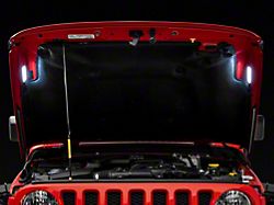 Axial LED Underhood Lighting Kit (Universal; Some Adaptation May Be Required)