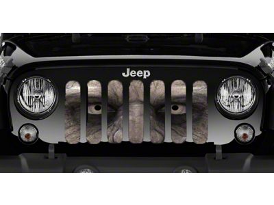 Grille Insert; Walking Dead (76-86 Jeep CJ5 & CJ7)