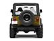 RedRock HD Tire Carrier (87-06 Jeep Wrangler YJ & TJ)